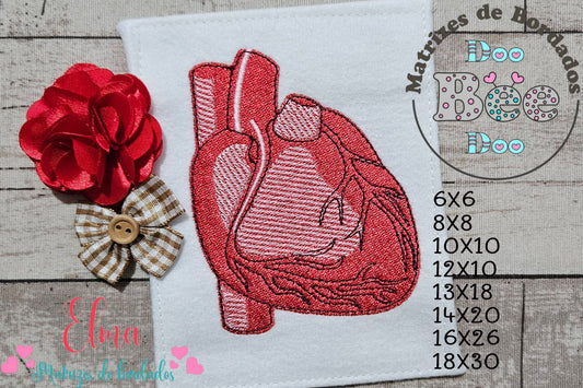 Matriz de Bordado Coração Anatômico Realista – Ponto Cheio